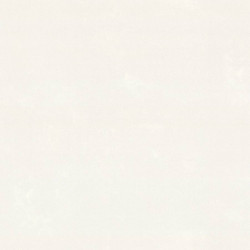 AR11273-01 AR11273-01