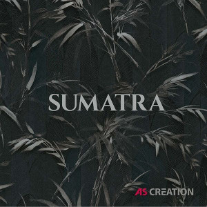 Обои Sumatra (A.S. Creation)
