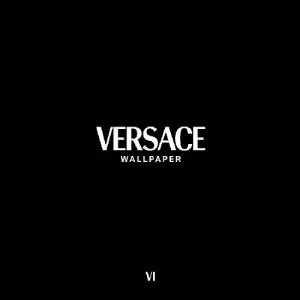 Обои Версаче 6 (A.S.Creation)