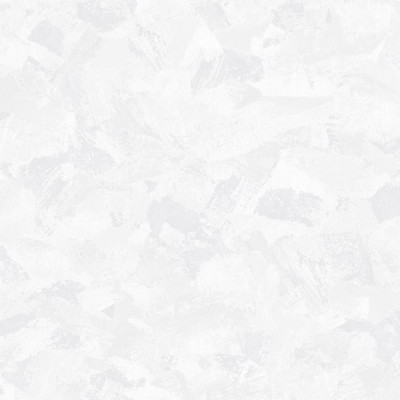 283041