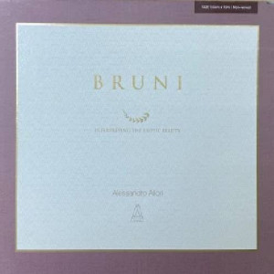 Обои Bruni (Alessandro Allori) Обои Bruni (Alessandro Allori)