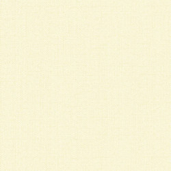 RBN 1002-45 RBN 1002-45