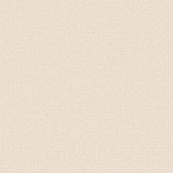 RBN 1005-5 RBN 1005-5