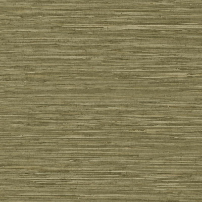 DR1205