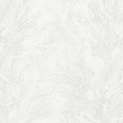 R217101