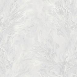 R217113