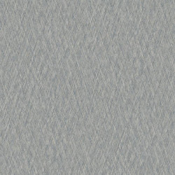 VE 1006 VE 1006
