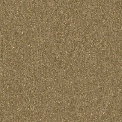 55562