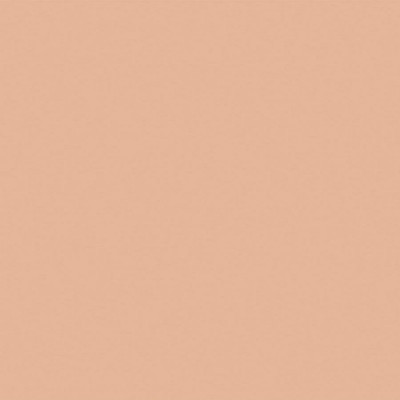 Am4004