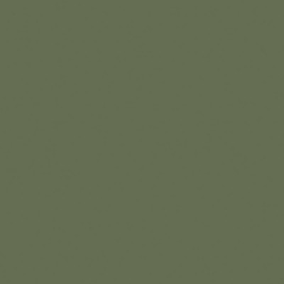 Am4105_4