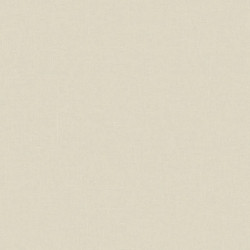 BST4001_2