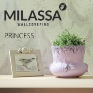 Обои Princess (Milassa)