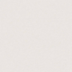 NP10001