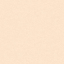 NP11003
