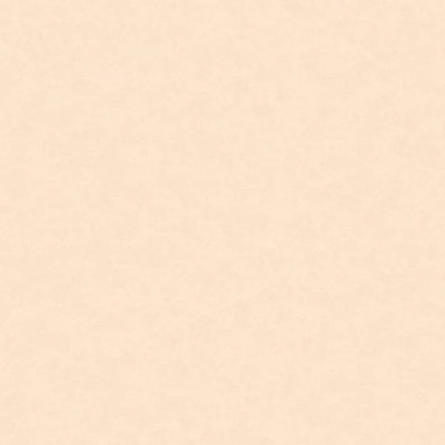NP11003