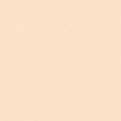 NP11004