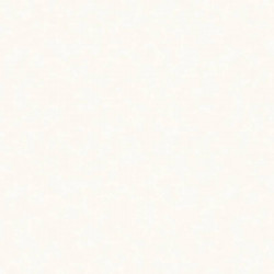 NP11006