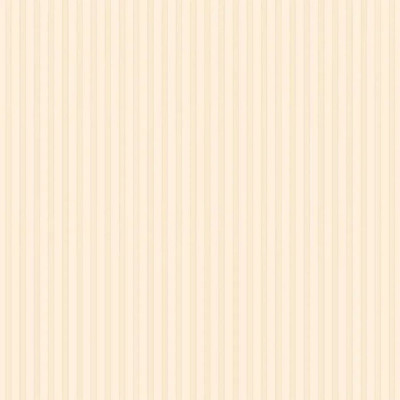 NP5002_1