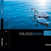Обои Swan (Milassa)