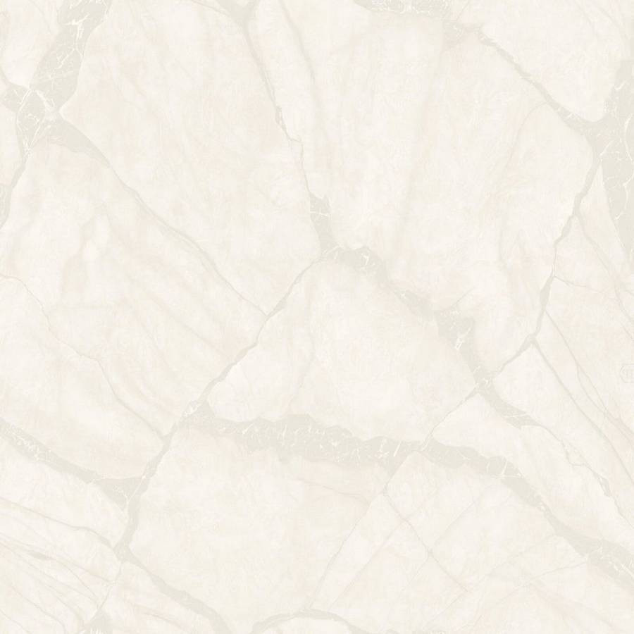 Обои Z81042 Philipp Plein 2 (Zambaiti Parati)